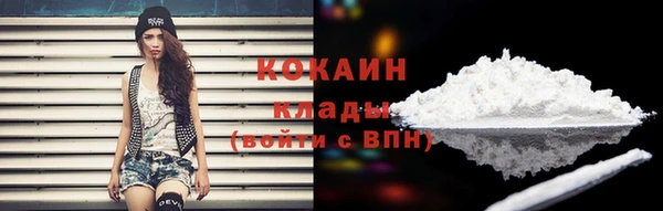 ПСИЛОЦИБИНОВЫЕ ГРИБЫ Мурманск