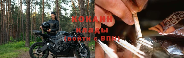 амф Майский